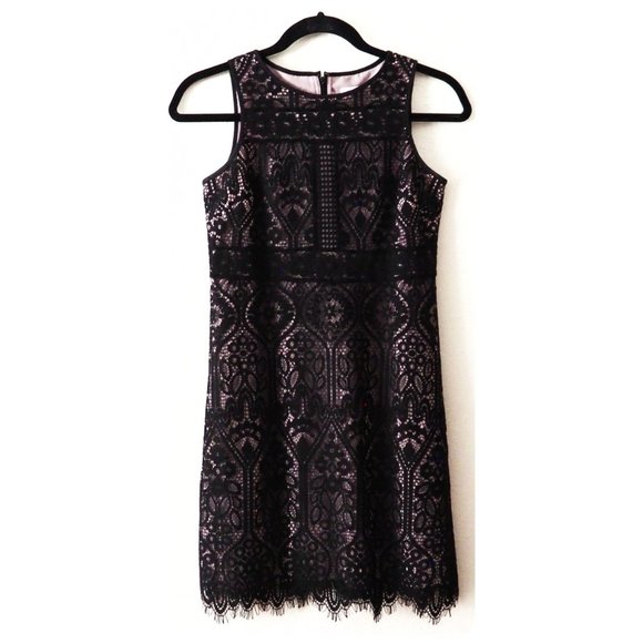 LOFT Dresses & Skirts - Ann Taylor LOFT Petites Sleeveless Lace Dress
